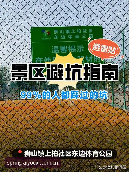爱游戏体育官网春季版 老用户踩坑实录:爱游戏体育官网春季版避坑与实操指南